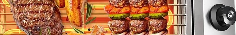 Portable Electric Grills